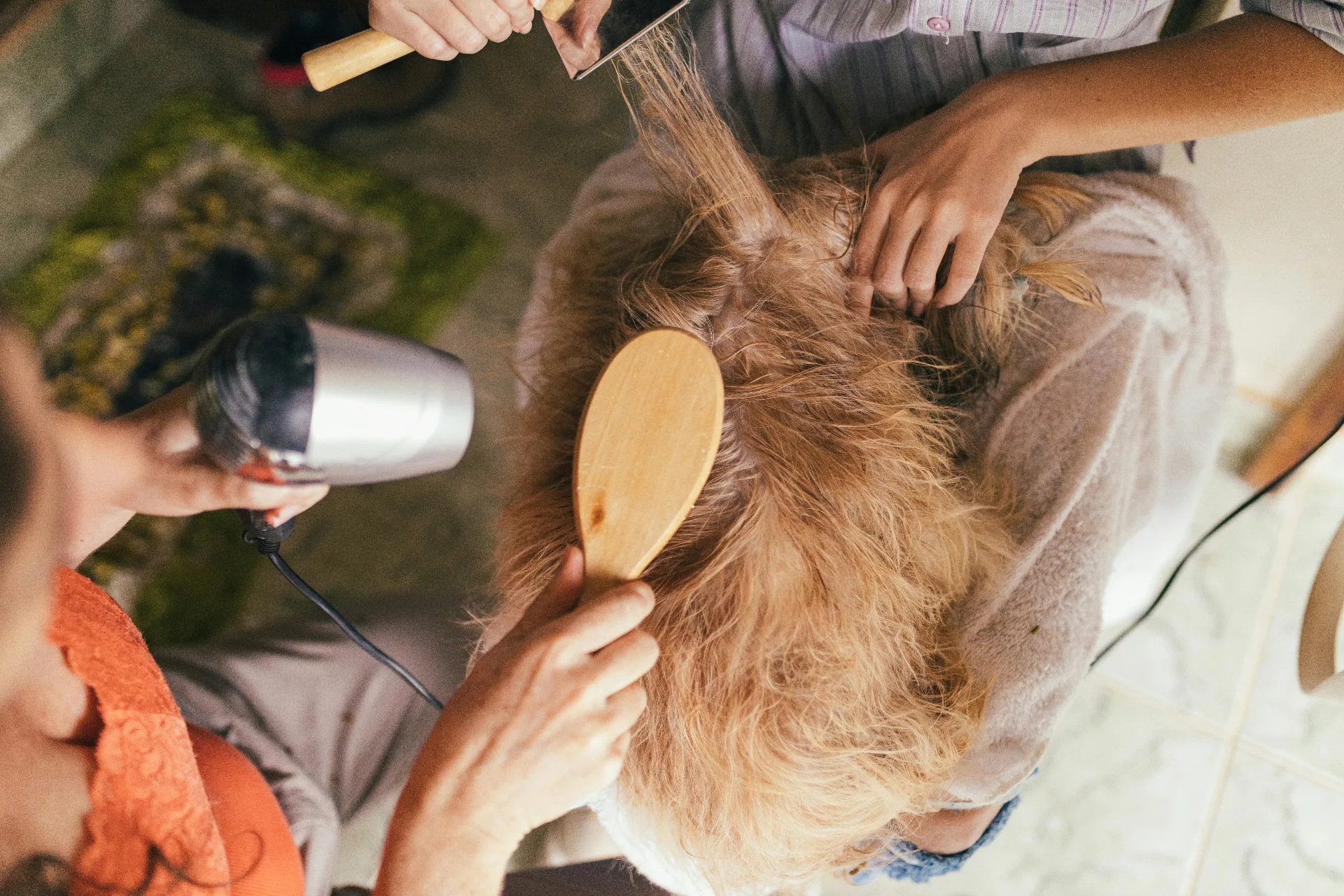 Deshedding Treatments